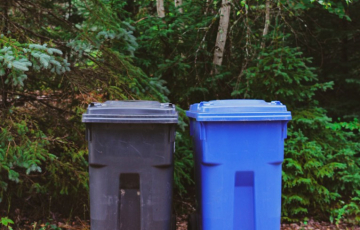 green and blue bins