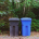 green and blue bins