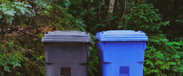green and blue bins